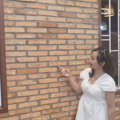 Gạch thẻ cổ (gạch cắt ) kt 200x55x18mm